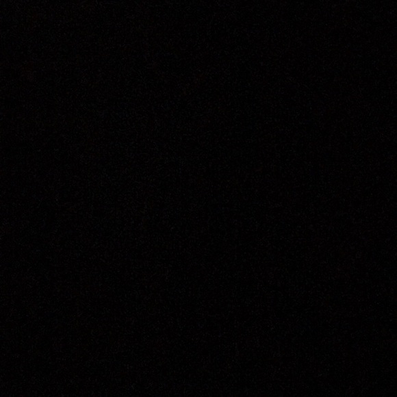 Meet your Posher, Jelani - Picture 2 of 2